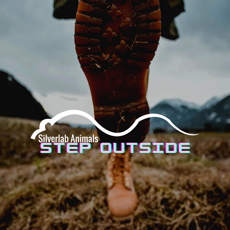 Step Outside