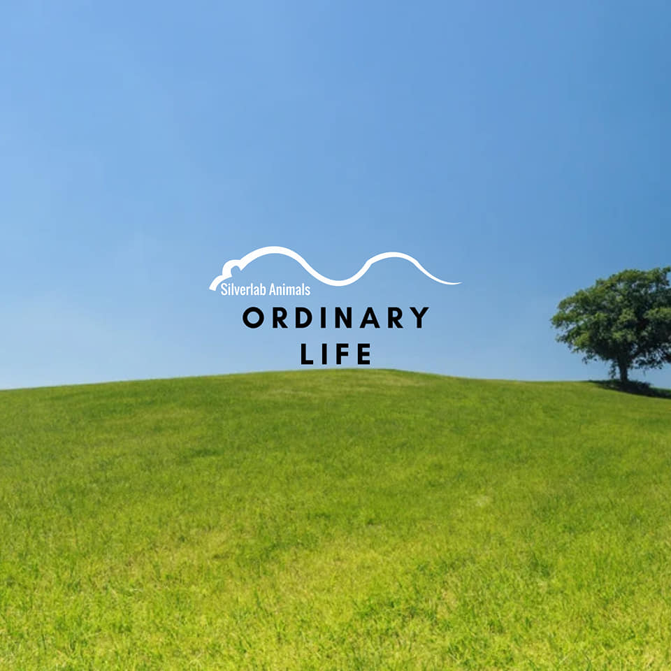 Ordinary Life