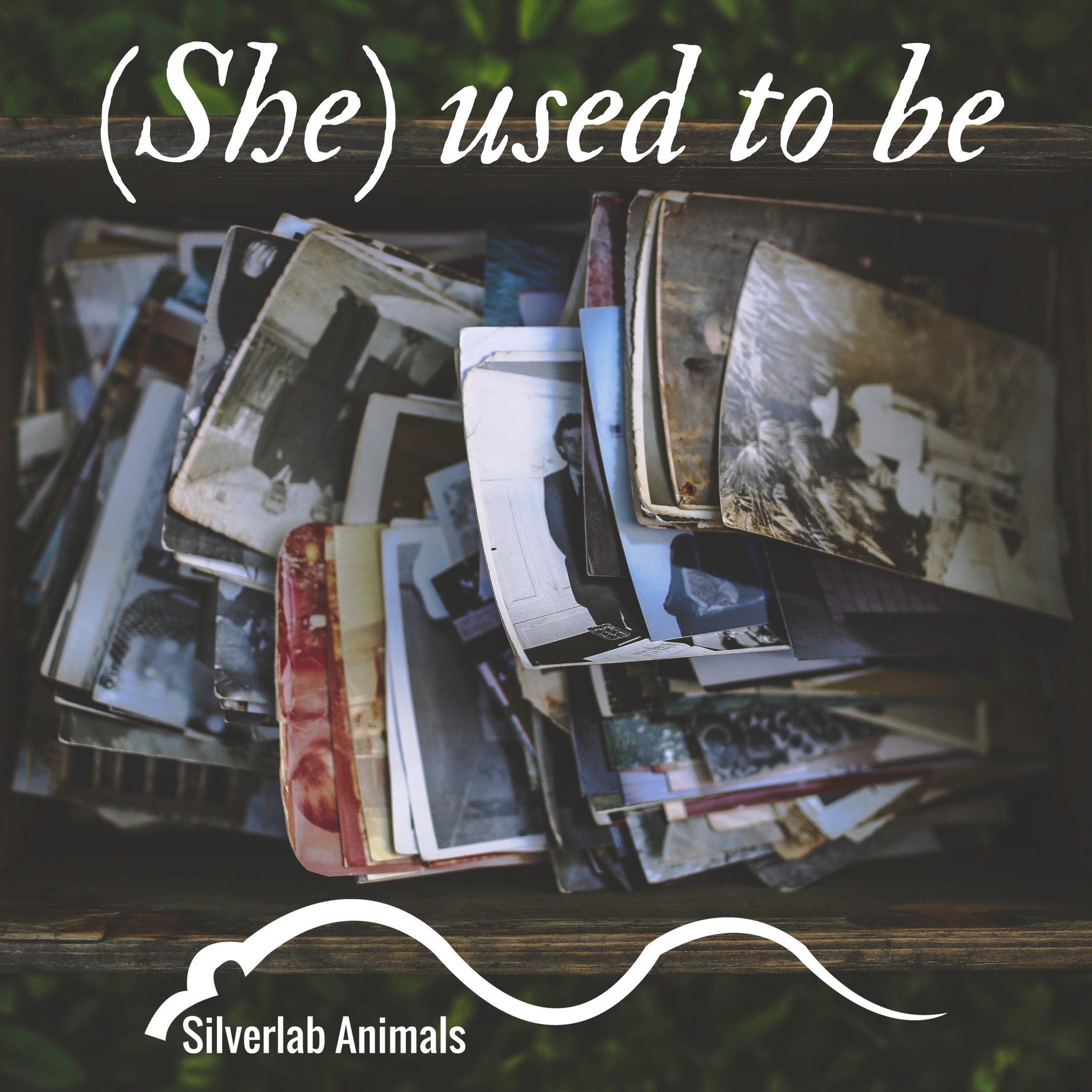 (She) Used to Be